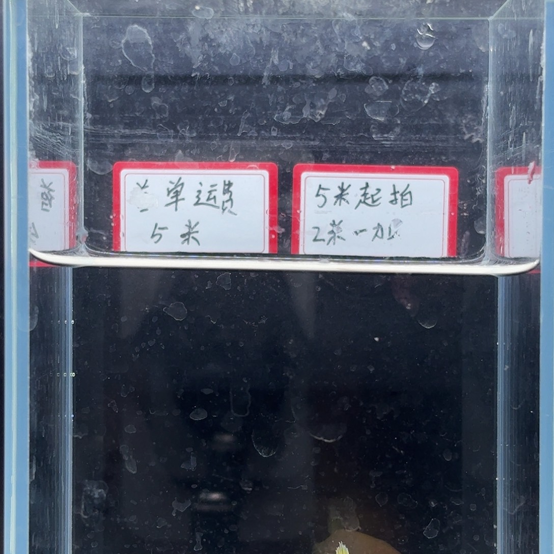 海水鱼鱼万泽水族