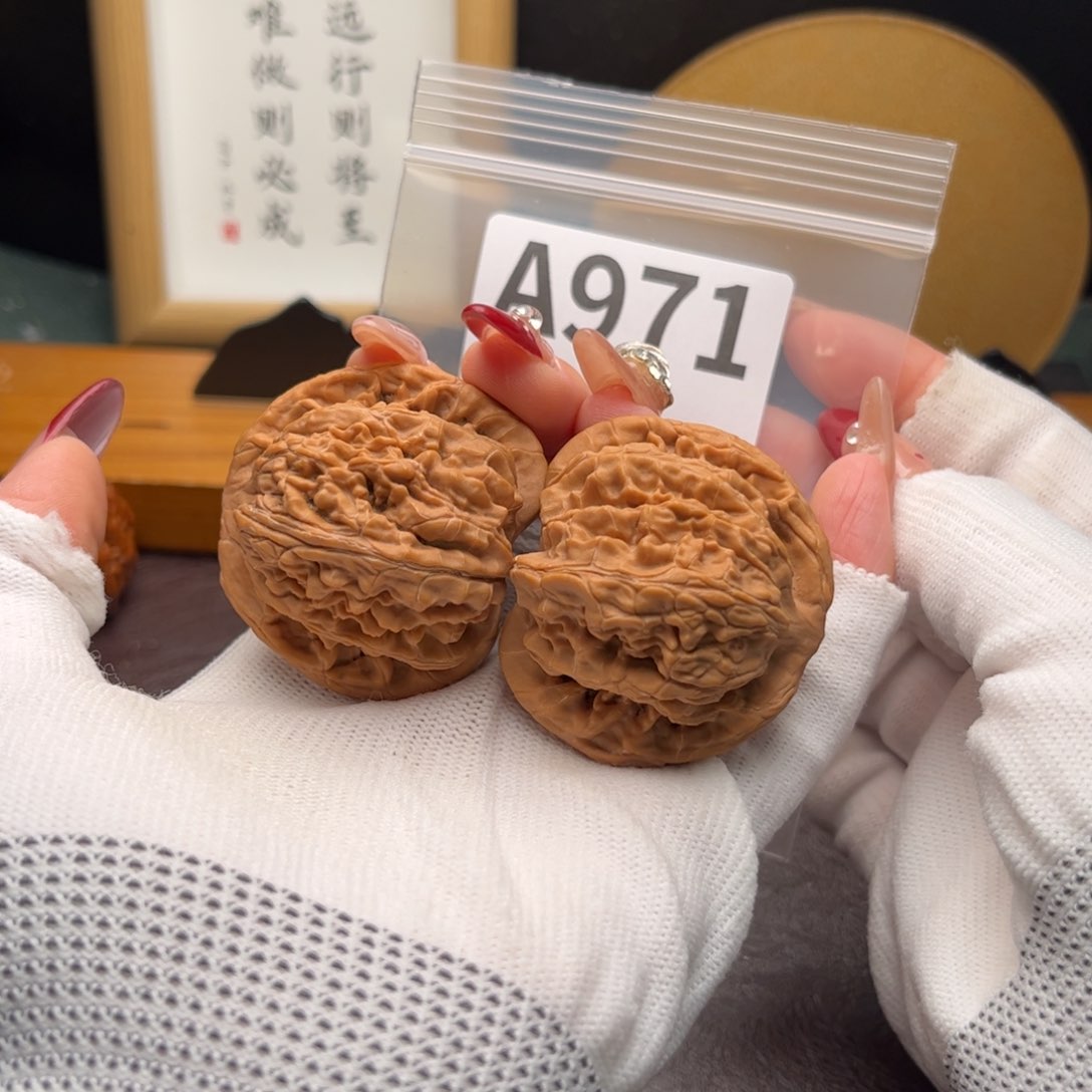 文玩核桃把件44望月a 971