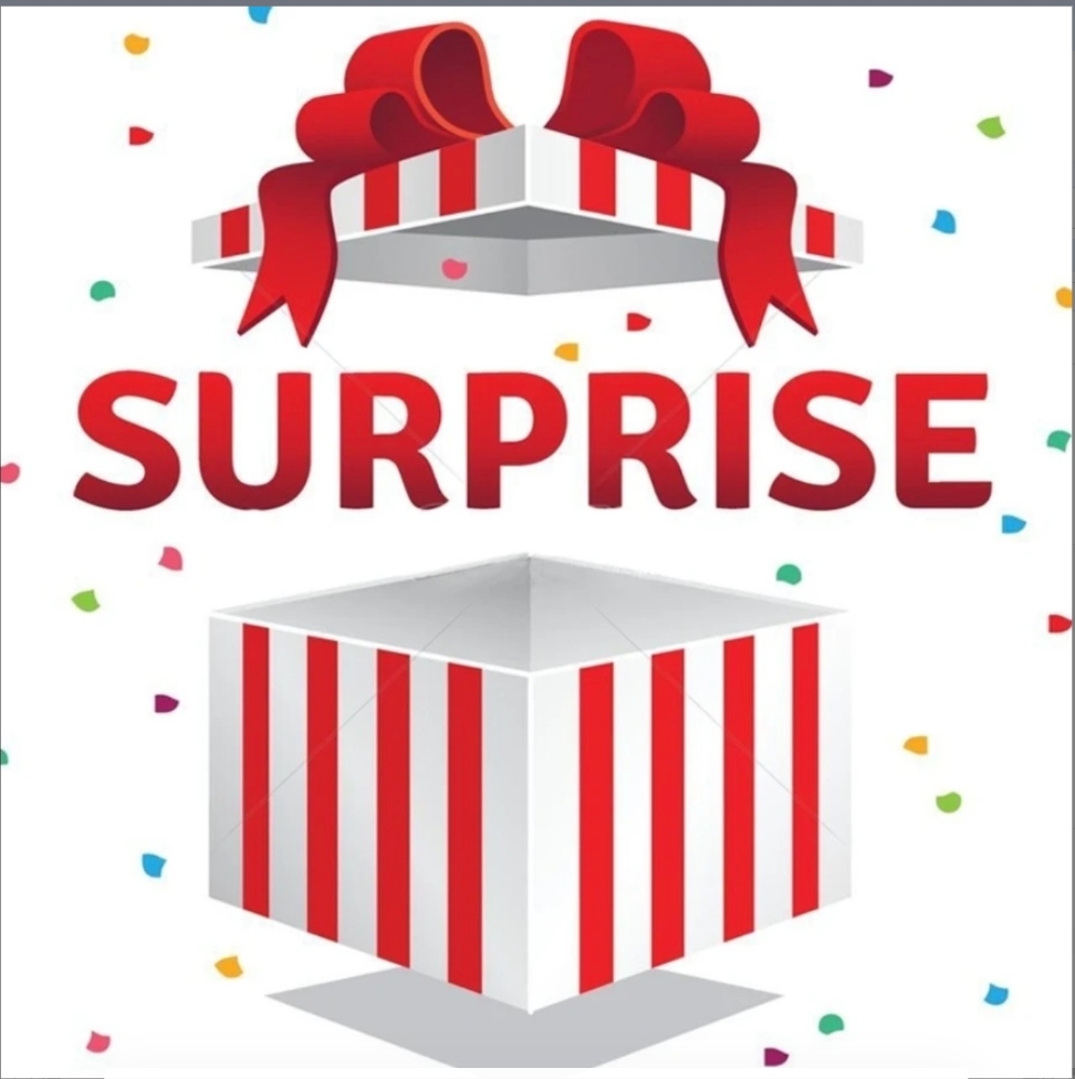 （磊磊专属）（全国）YANZAO/焱造珐琅锅惊喜盒子（先拍后展示产品）