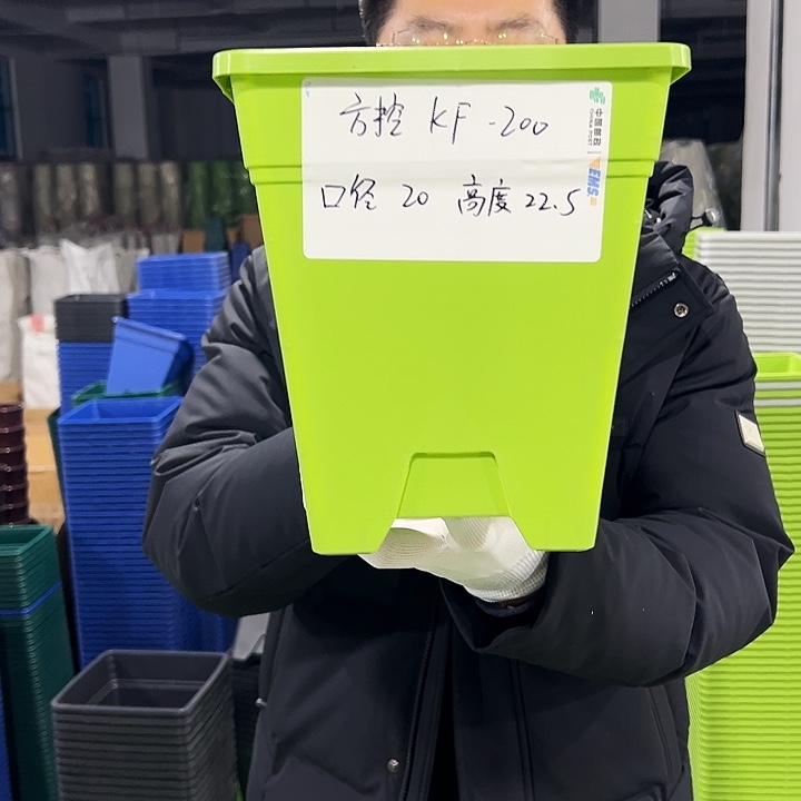 正品方盆口20高22果绿6只无托