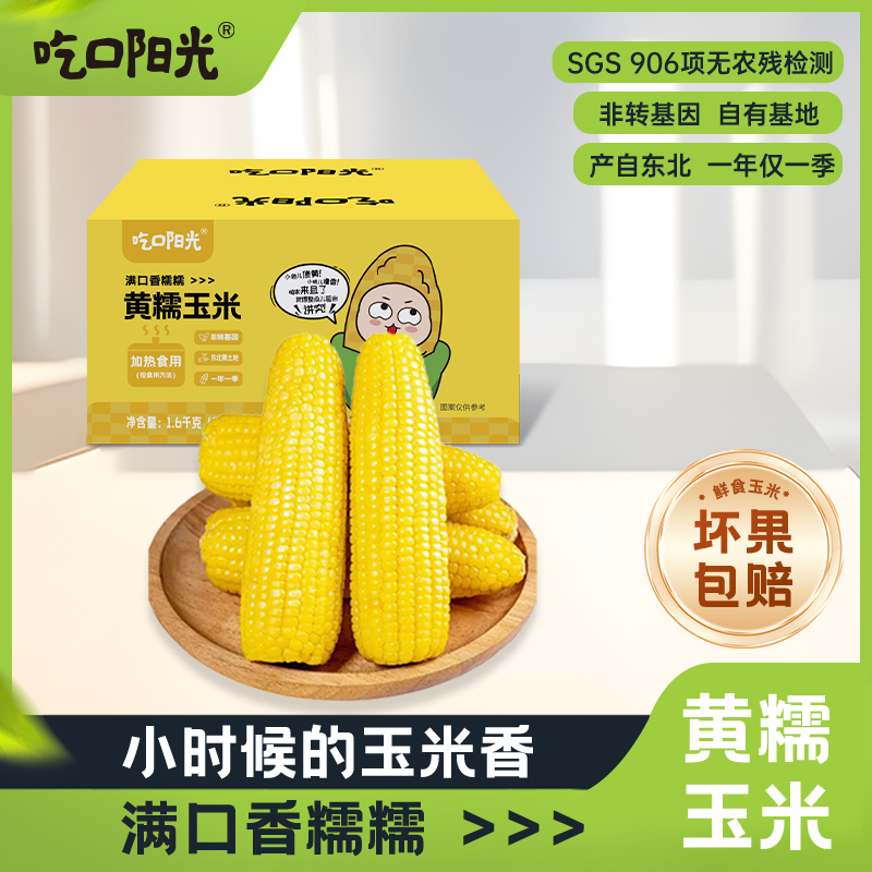 【交投专属】吃口阳光新鲜黄糯玉米非转基因真空包装 200g*8支