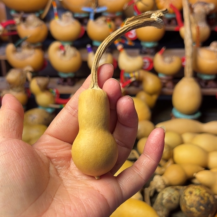 喝***e文玩葫芦天天开心