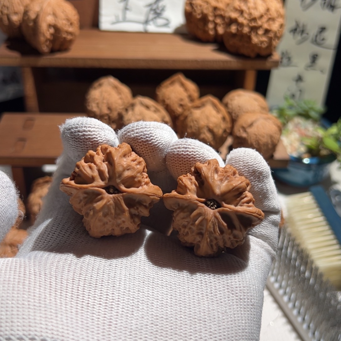 欢***迎核桃全品无修37 油蜡皮佛肚