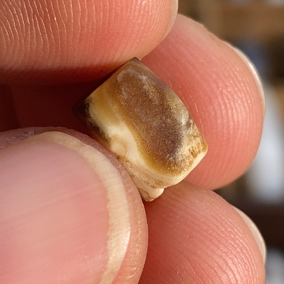 玛瑙/玉髓颈饰合金