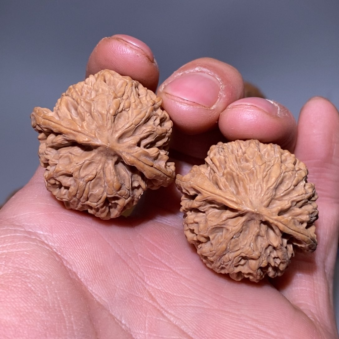 35尺 全品无修 白茬 苹果园