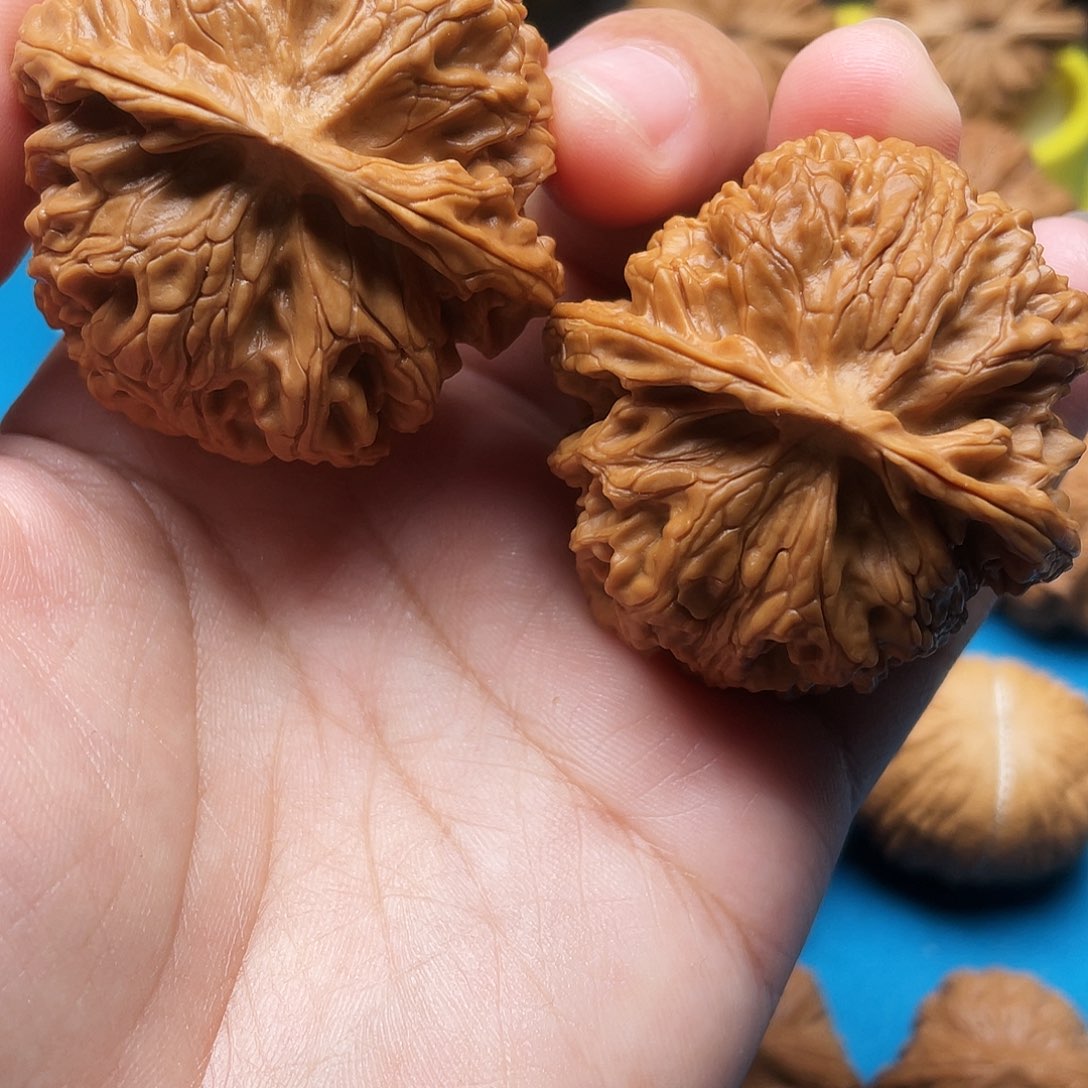 文玩核桃把件～****～苹果45全