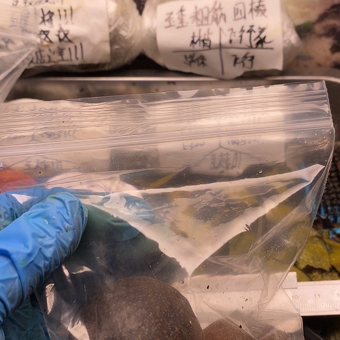 橘***哦刚回家就斤斤计较斤斤计较