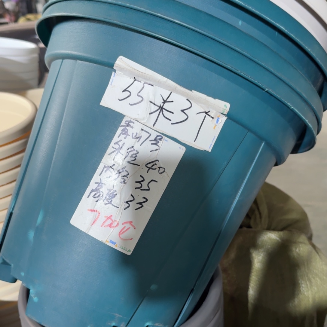 青山7#无拖军绿5个