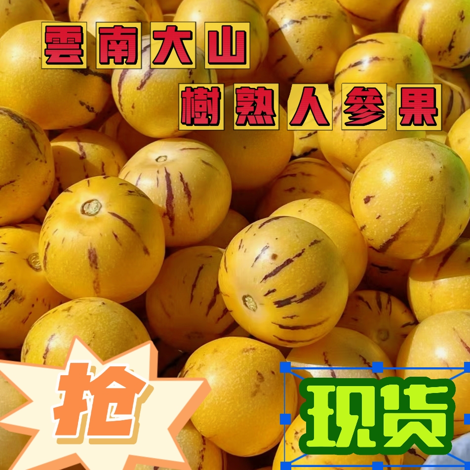 云南树上熟黄肉圆果果清甜多汁新鲜水果 4.8斤 礼盒装