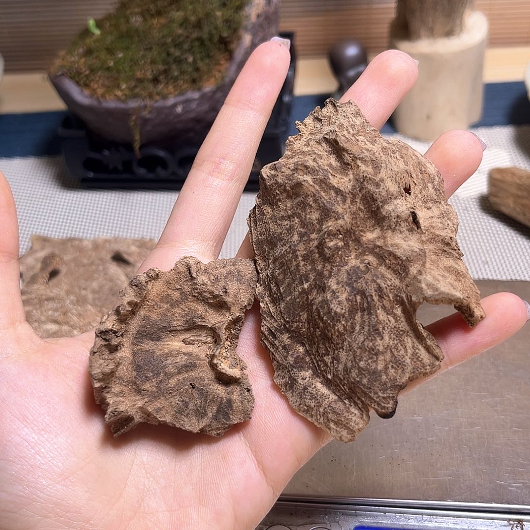 香榧木海南五指山淳化老顶7克重福利