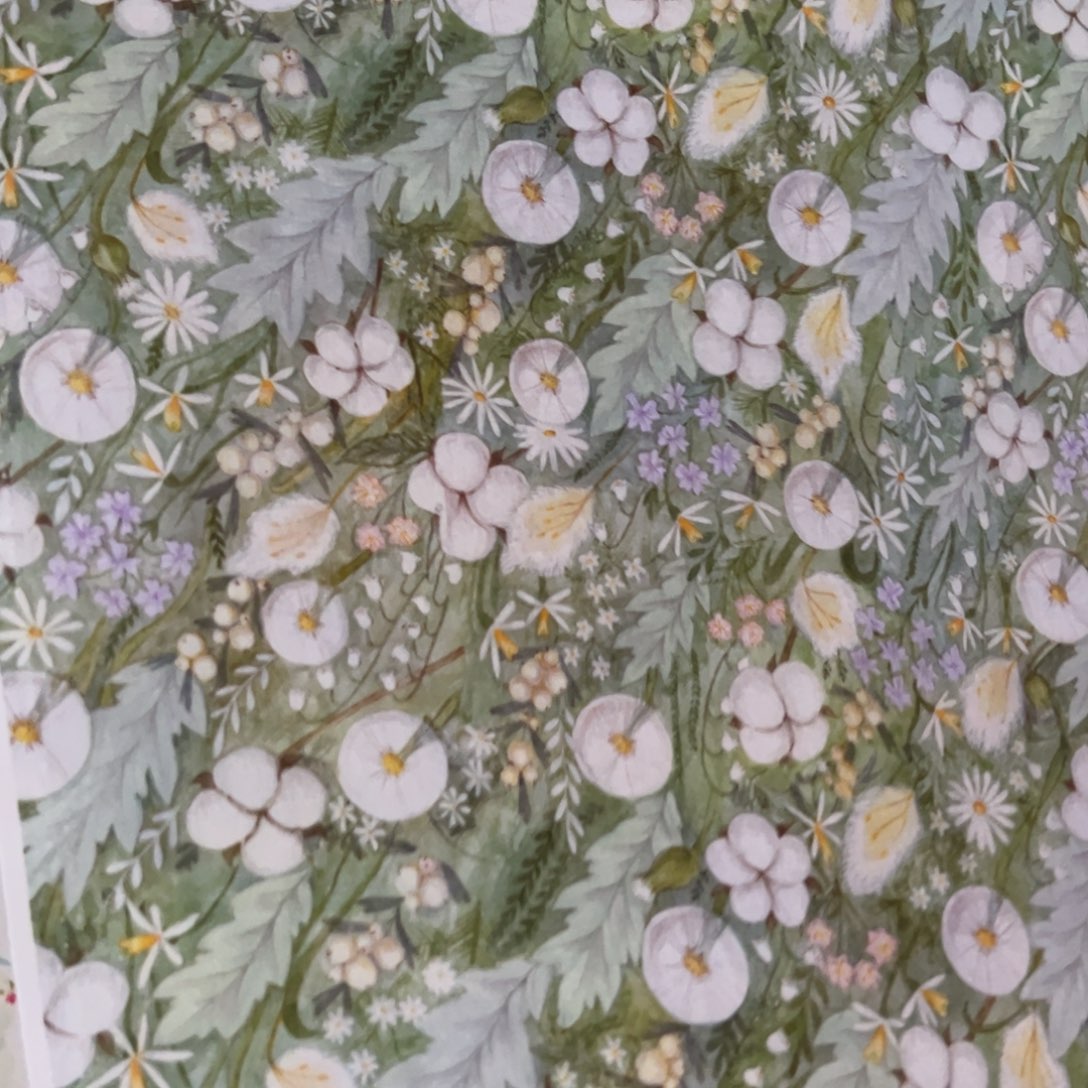 棉一米价纯棉平布1.1米宽果子布艺8