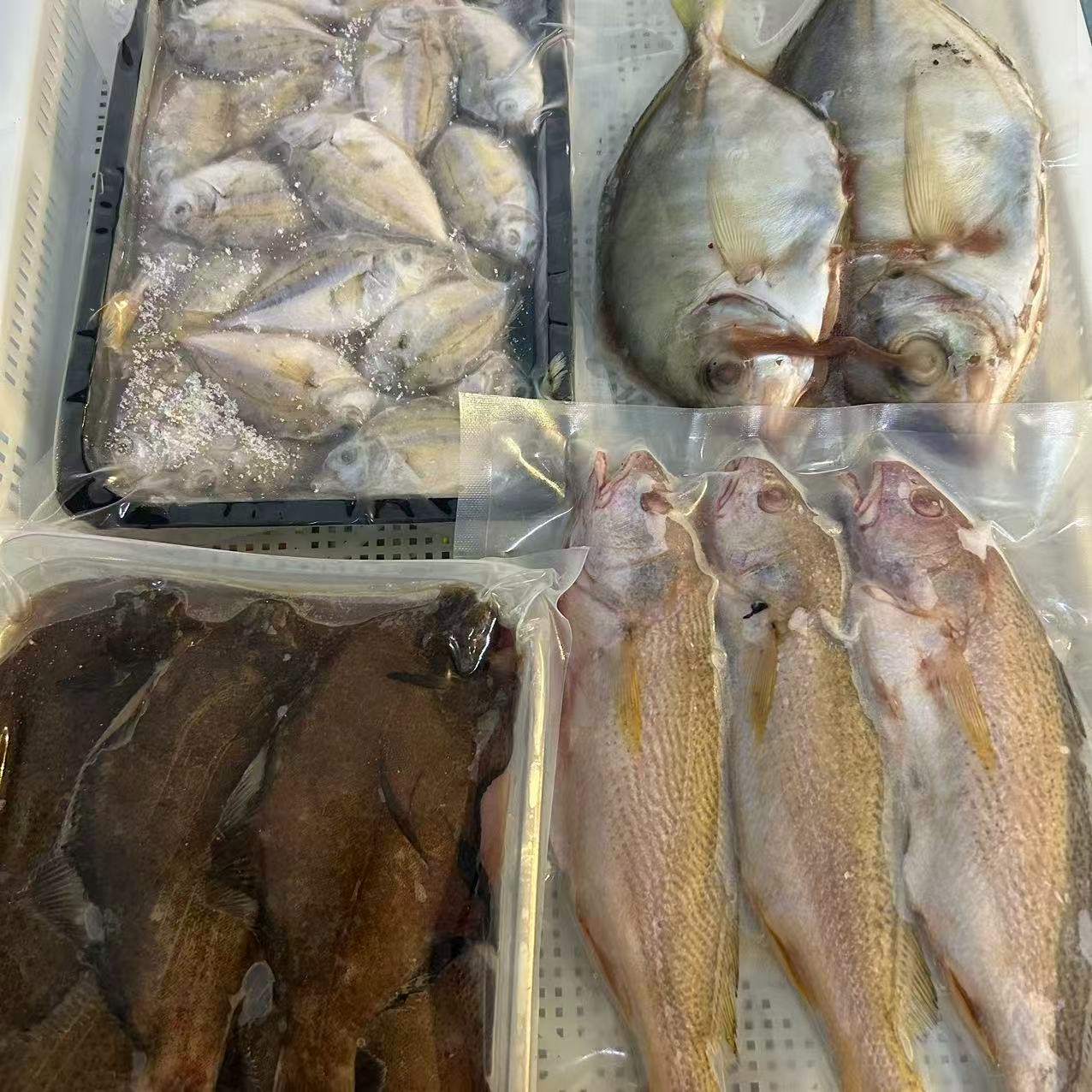 《财哥专属》谢记海产品鱼类套餐3号