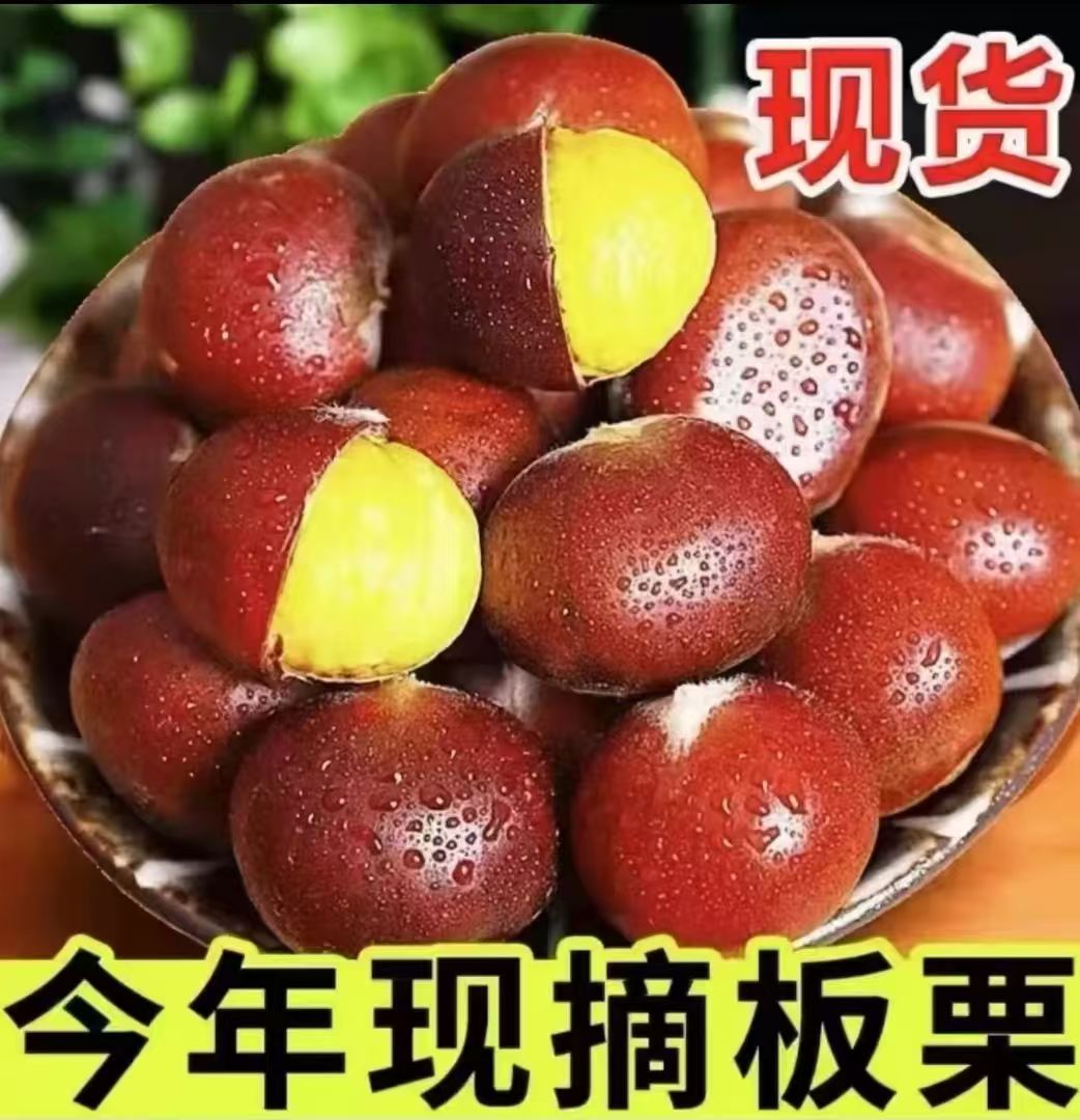 【买3斤送2斤】新鲜现摘高山板栗清脆甘甜鲜香生栗子送剥皮器