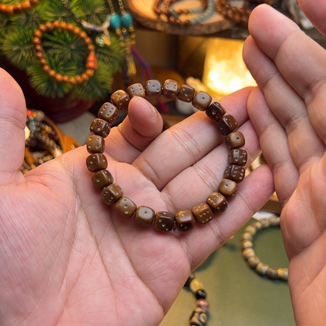 菩提根/象牙果手串