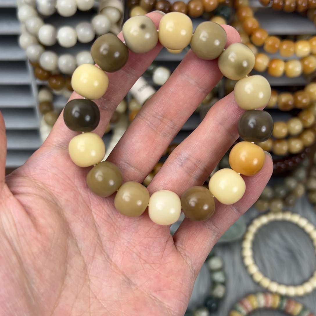 菩提根/象牙果手串