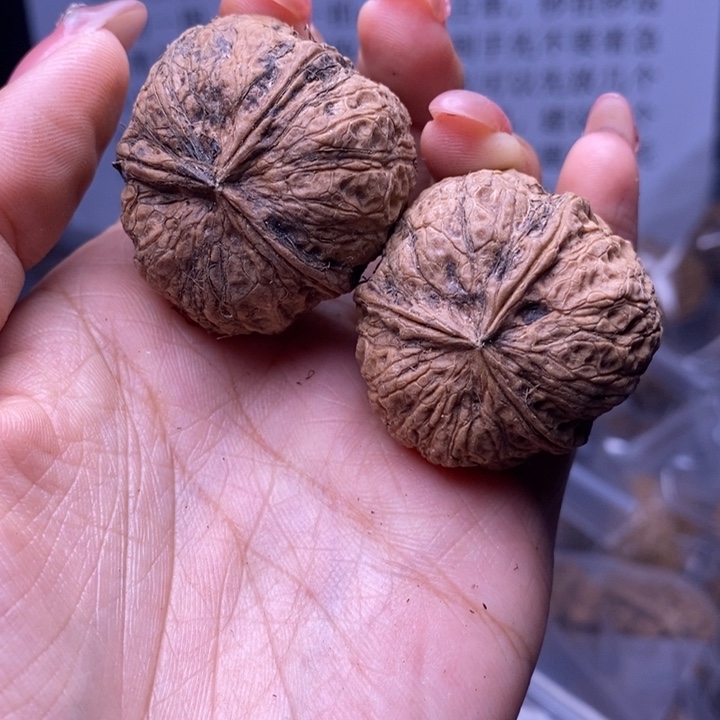 核桃云南野生铁核桃97号36mm