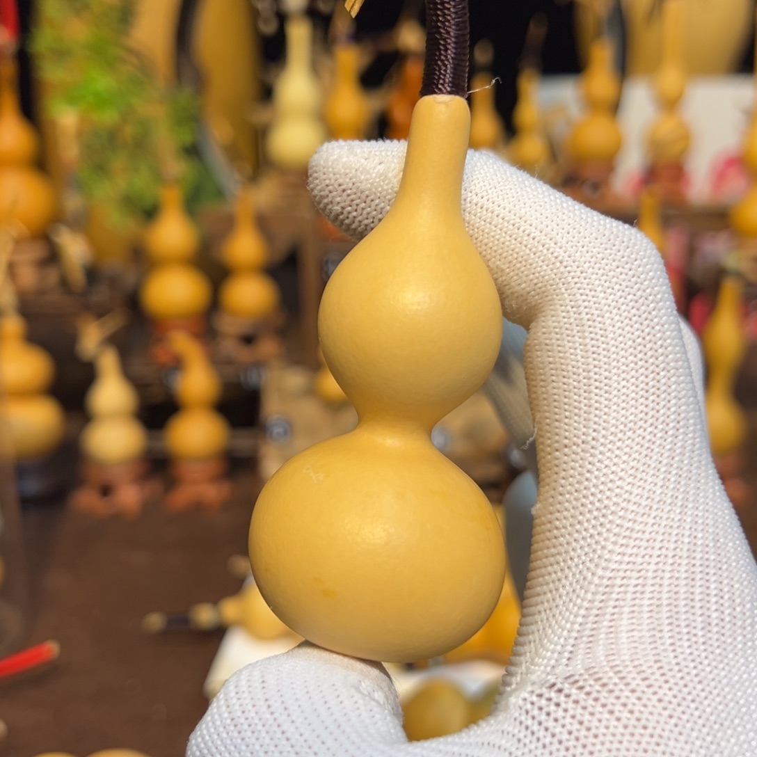 鹤***屿精品天津嘴葫芦长直嘴