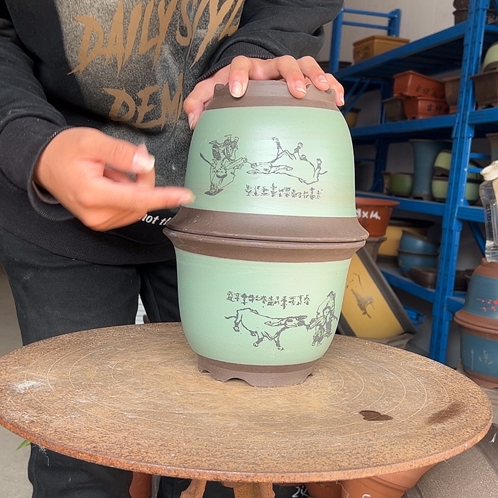 20+20绿放牛娃金钟花盆