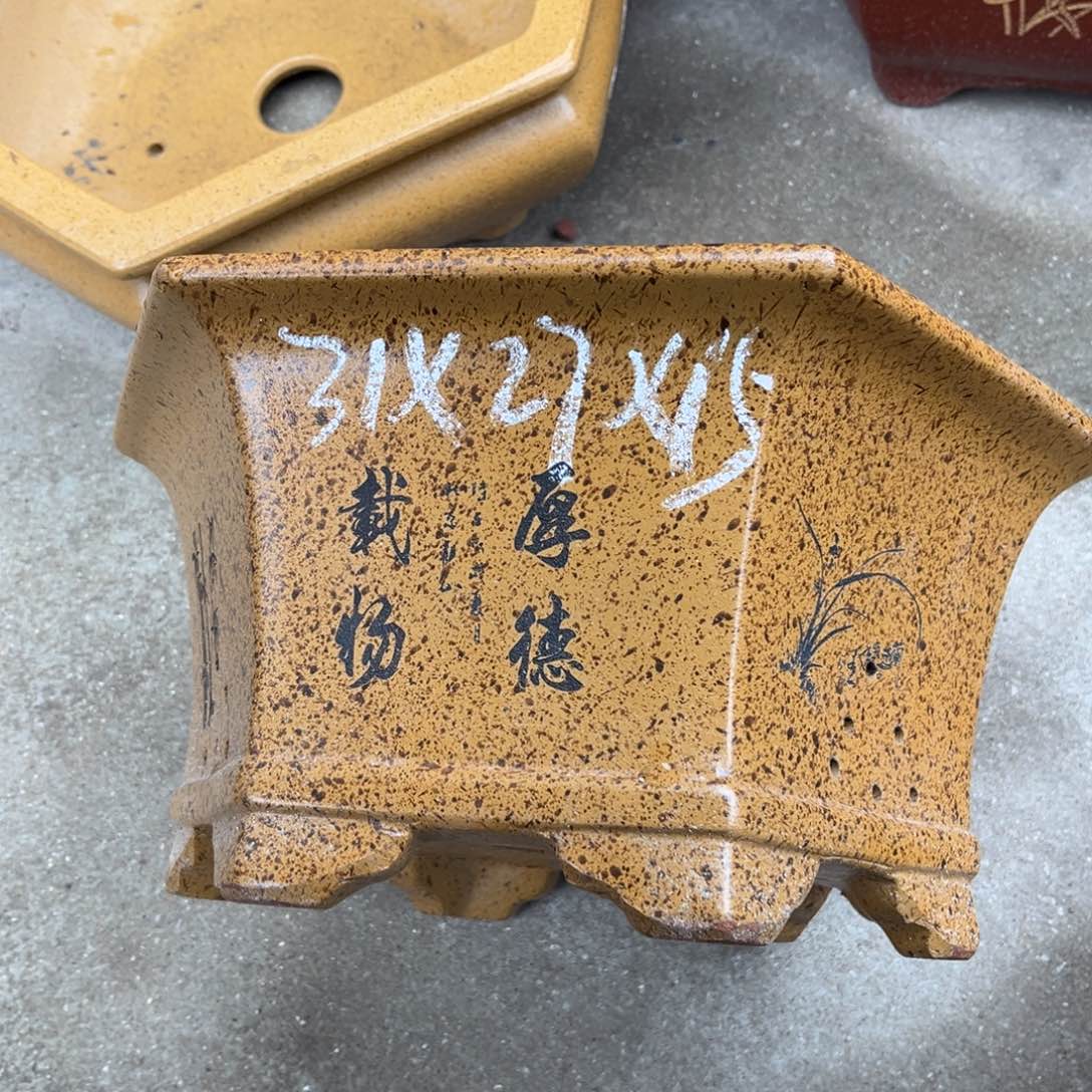 紫砂花盆盆景艺术