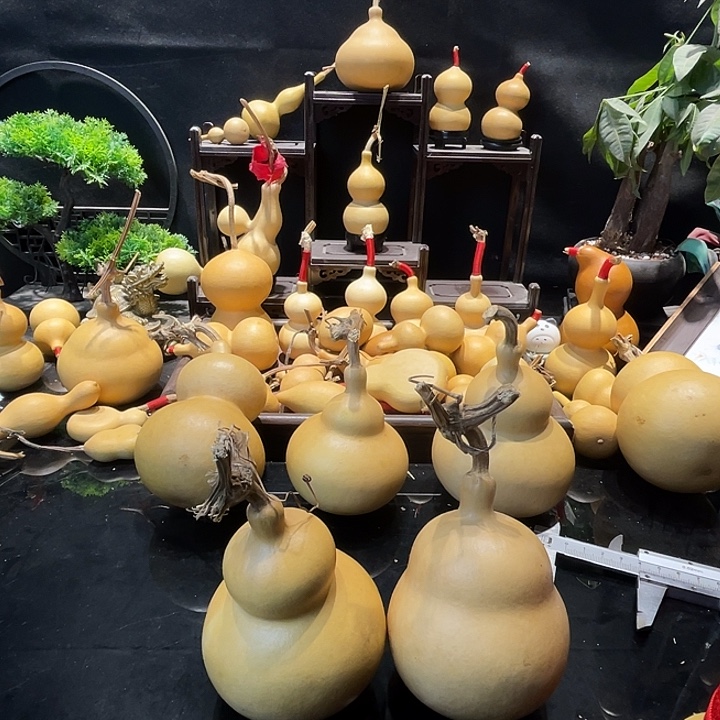 胖墩五个专拍链接