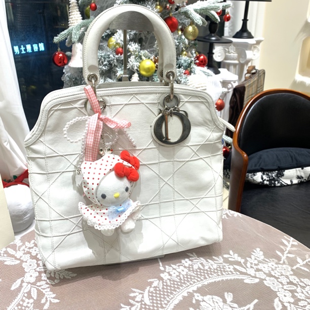 95新 DIOR/迪奥 迪奥藤格纹手提斜挎包/T102941