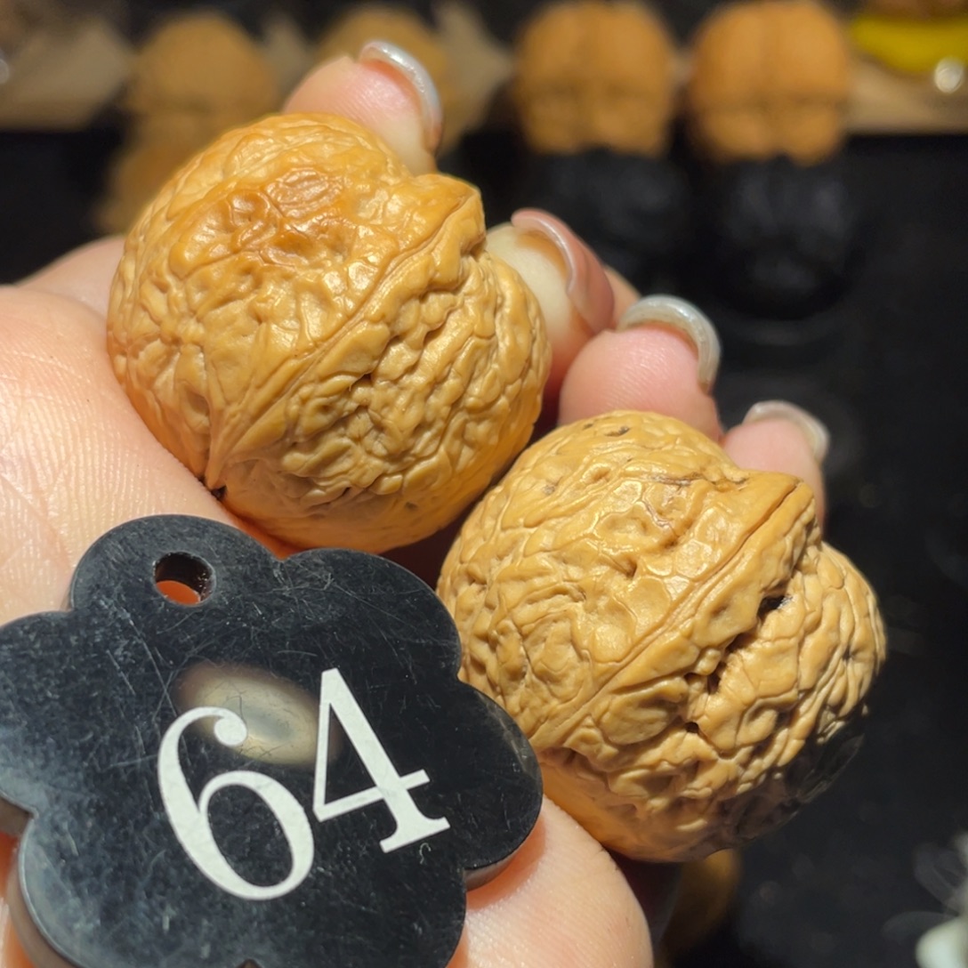 粗筋蛇皮元宝31尺寸