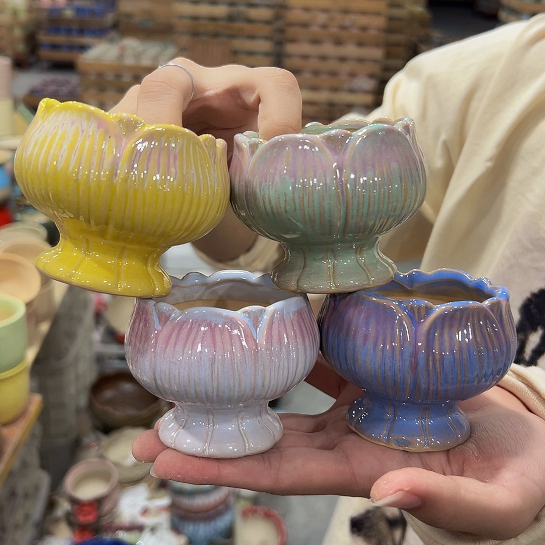 福利款！数量有限！链接3秒下架！