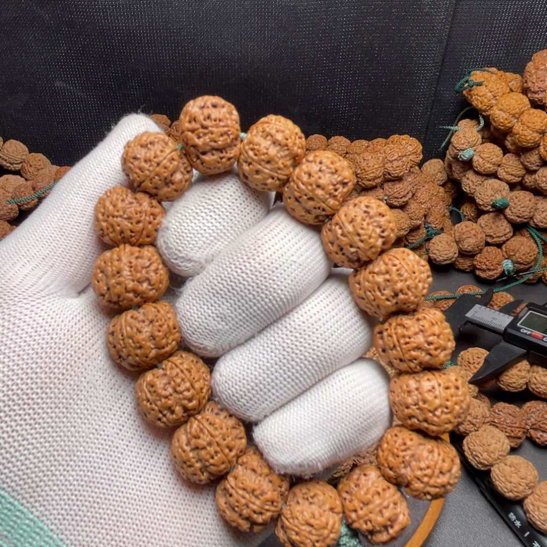 金刚菩提手串古龙纽扣梅花双龙头货20左右