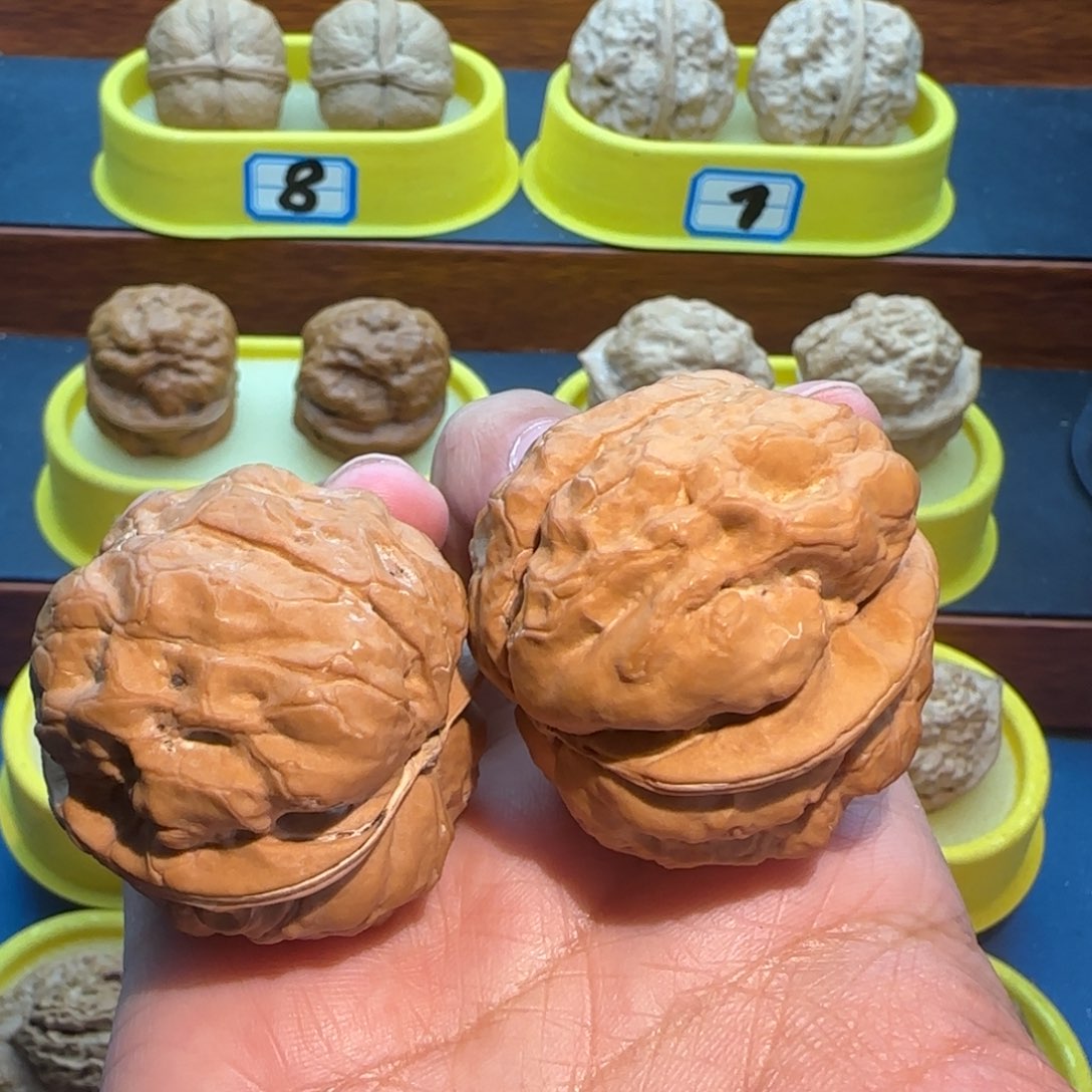 黑***甲把件桃核金蟾疙瘩包