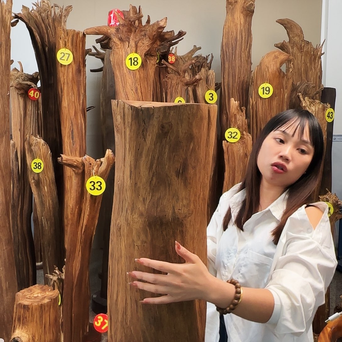 沉香沉香碎屑天然沉香原材料香料熏料