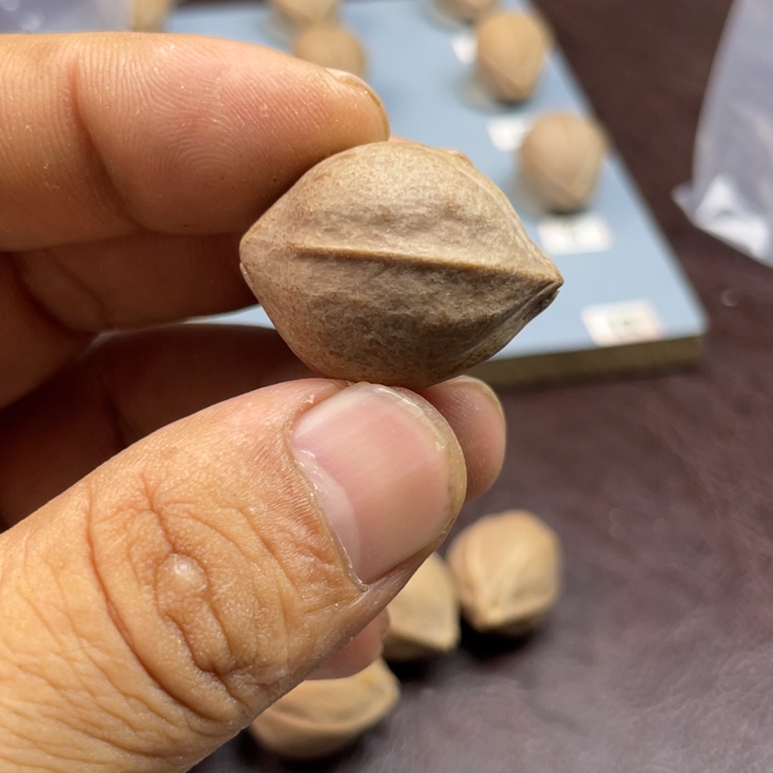 手串/手链橄榄核老***722.29三通