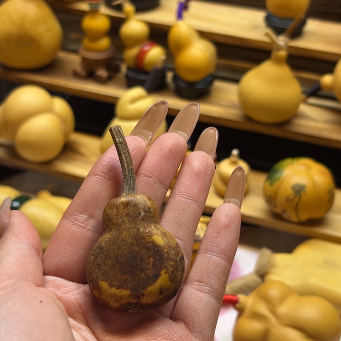 n***i哈哈哈哈哈哈哈哈哈