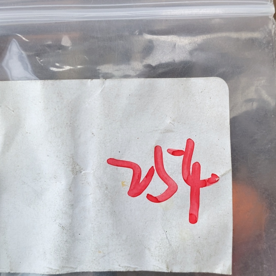 有***成吊坠龙脊菩提德宝文玩直播间专属链接