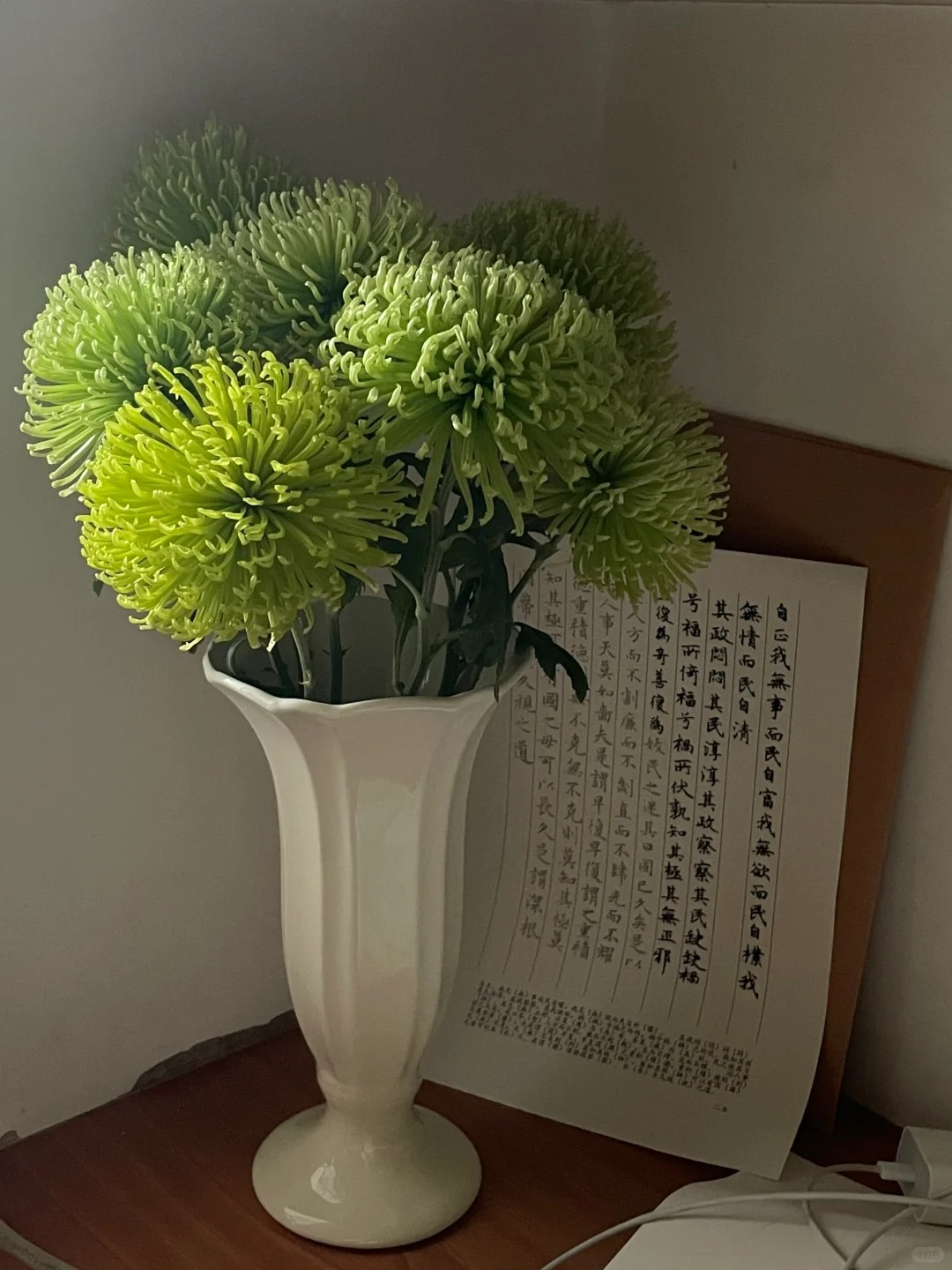 【小菊】小花精选鲜花