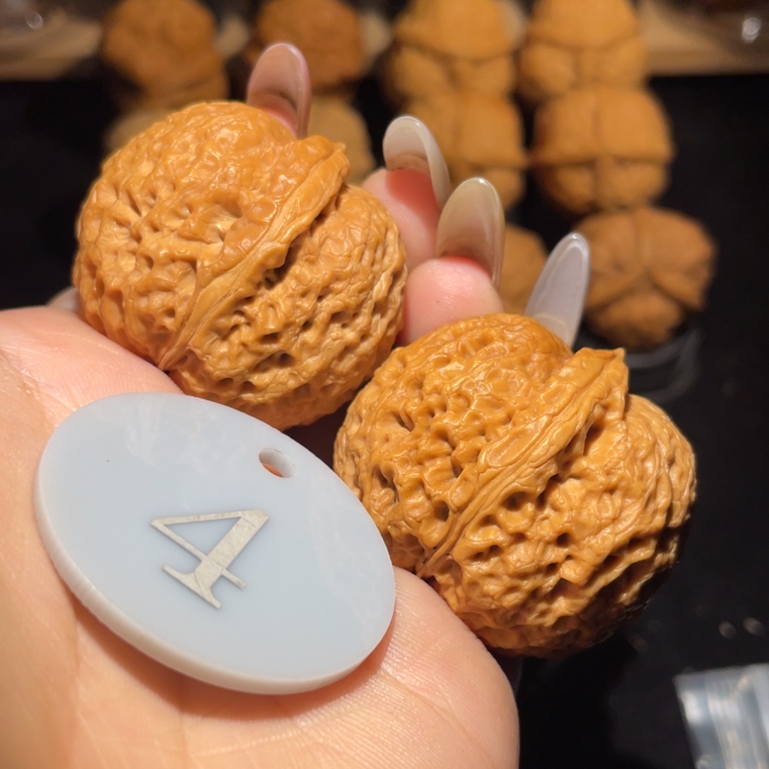 小狮子38尺寸核桃