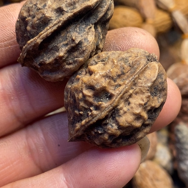 吊坠文玩核桃东北特产245