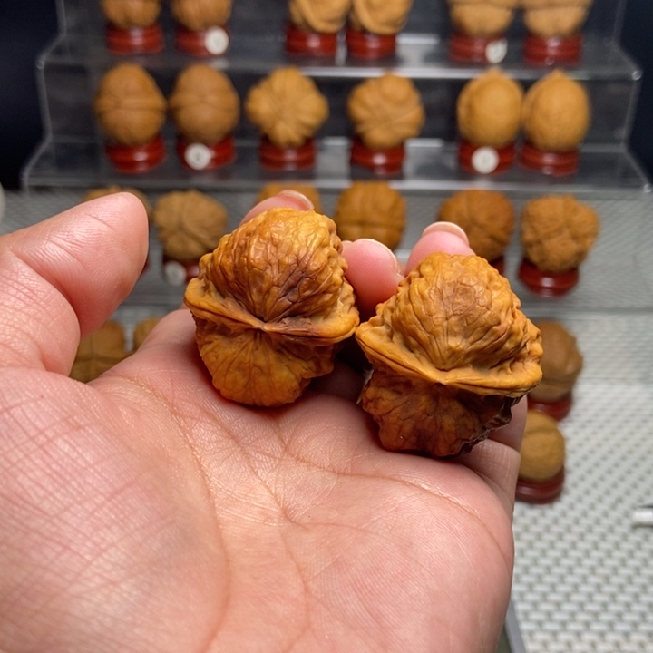 文玩核桃把件龙脊妖蟾29