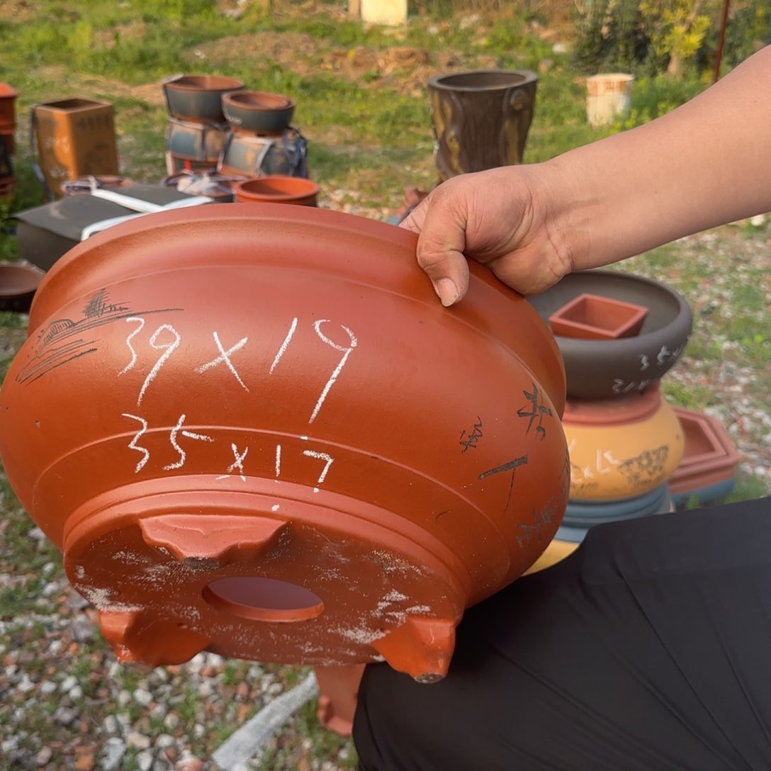 紫砂花盆花盆盆景盆栽