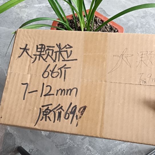 辉***哥兰菌黑山土大颗粒6.6斤