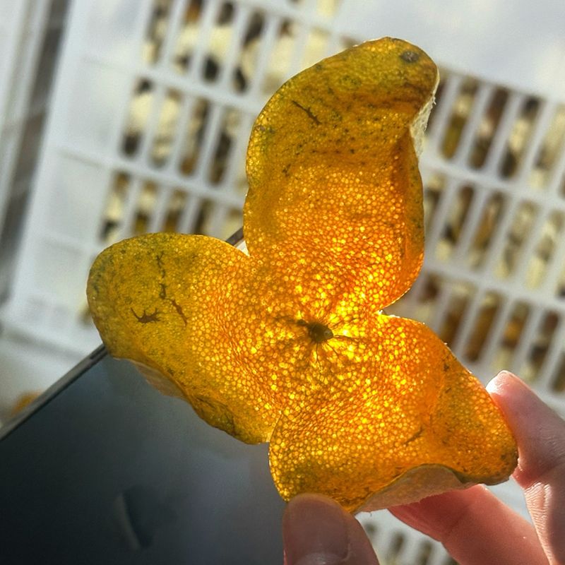 新会陈皮东甲二红皮天然晒干