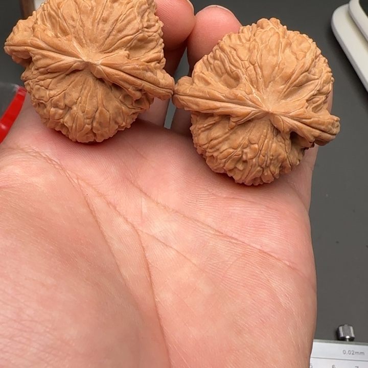 米***练文玩核桃吊坠白狮子