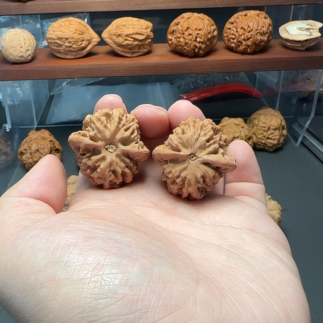 吊坠文玩核桃35秦闷