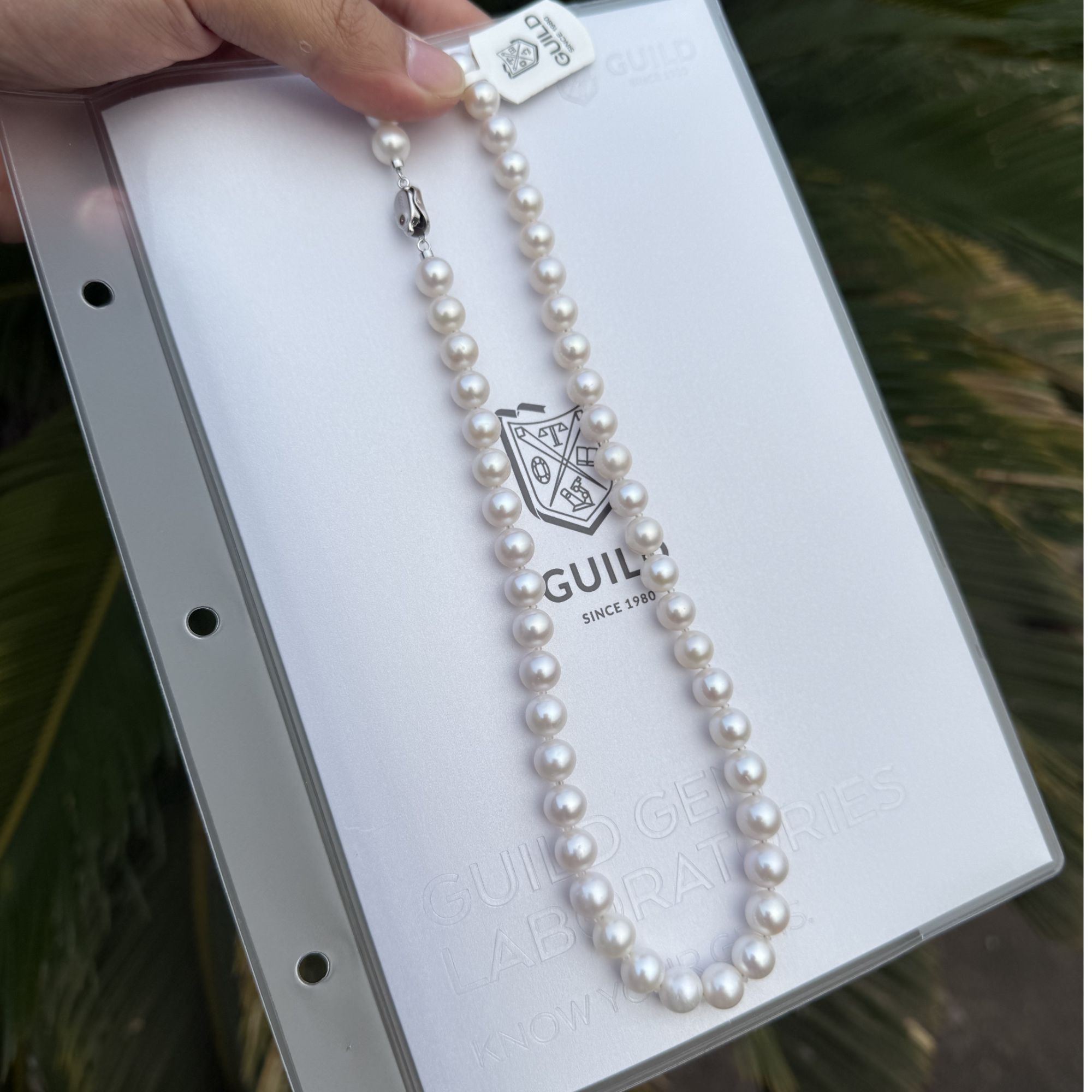 淡水无核强光白珠全珠链/9-10MM（带吉尔德大证）