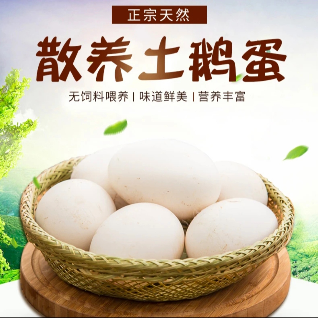 【顺丰快递】20枚土鹅蛋80-100g/枚  助农鹅蛋一箱直播新鲜散养
