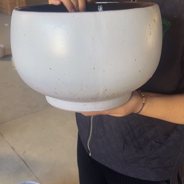 正品高度19厘米口径26厘米