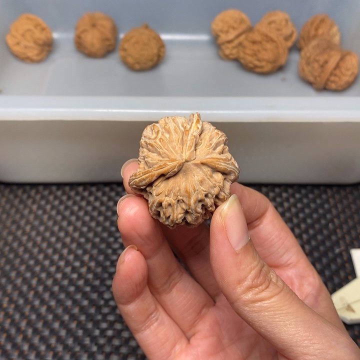 是***辰吊坠文玩核桃文玩核桃异形单只