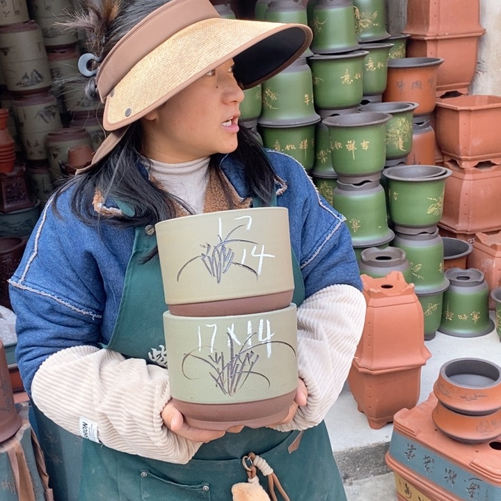 紫砂花盆盆栽花卉苗木种植