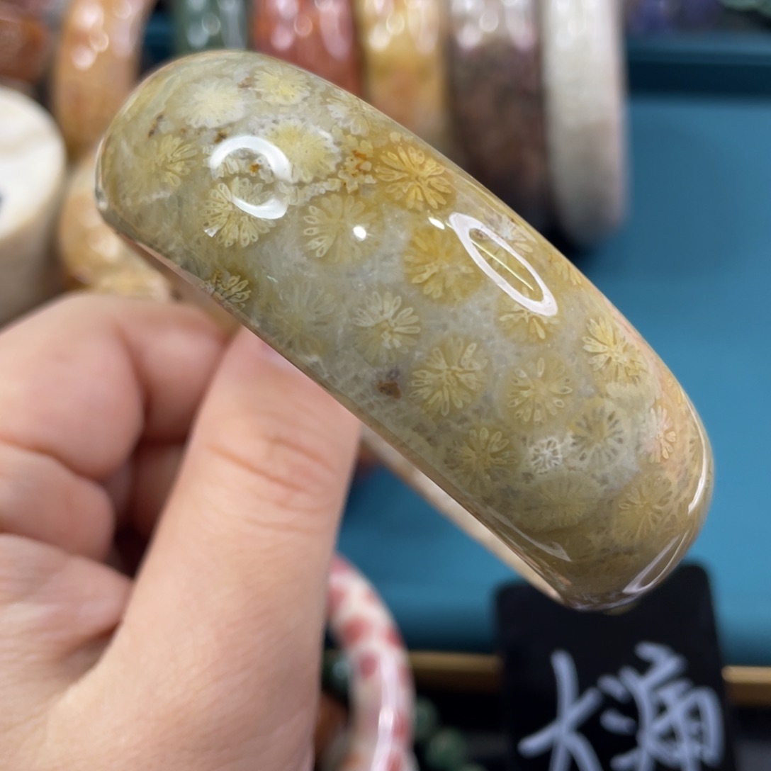 未镶嵌手镯硅化玉