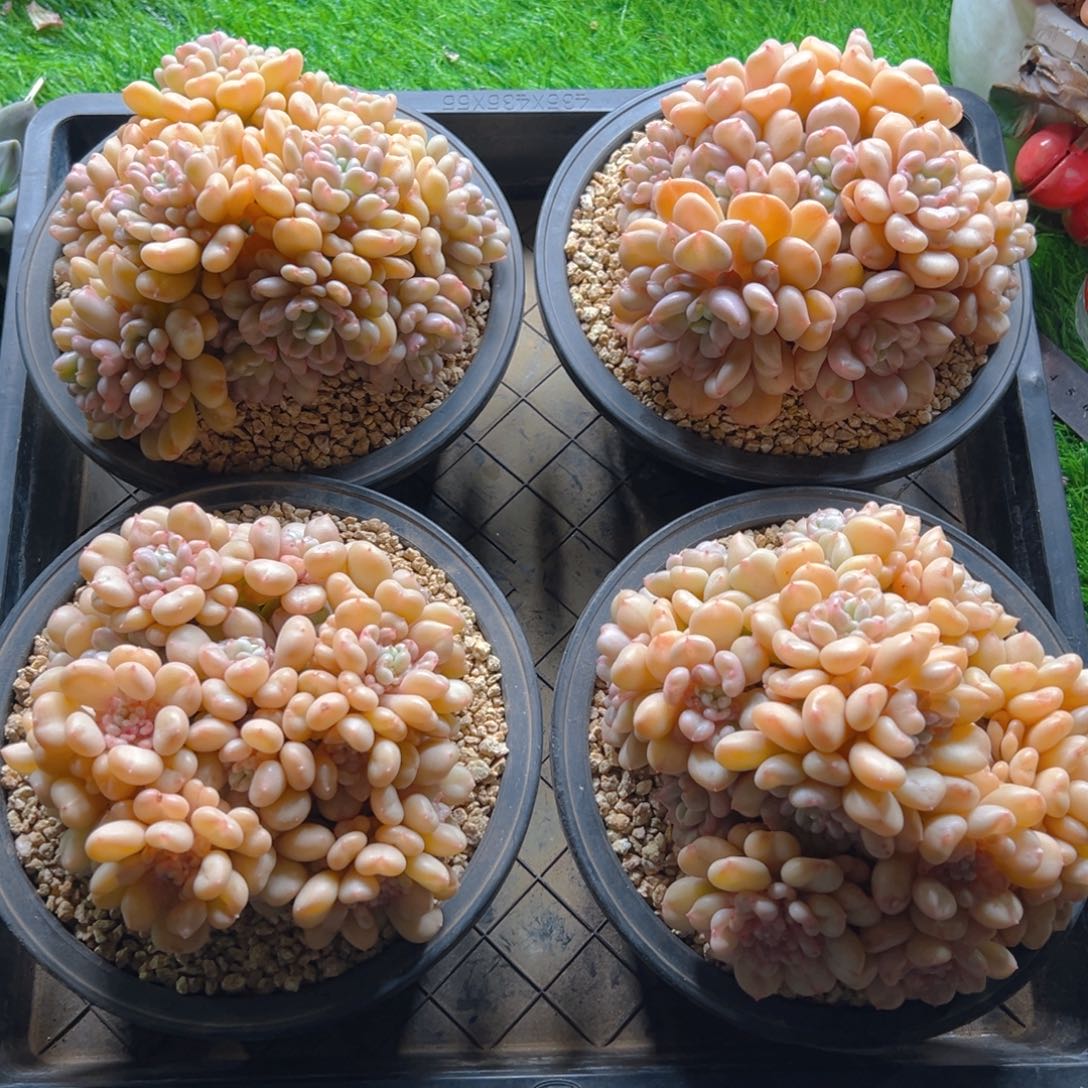 比尔11111111111111111