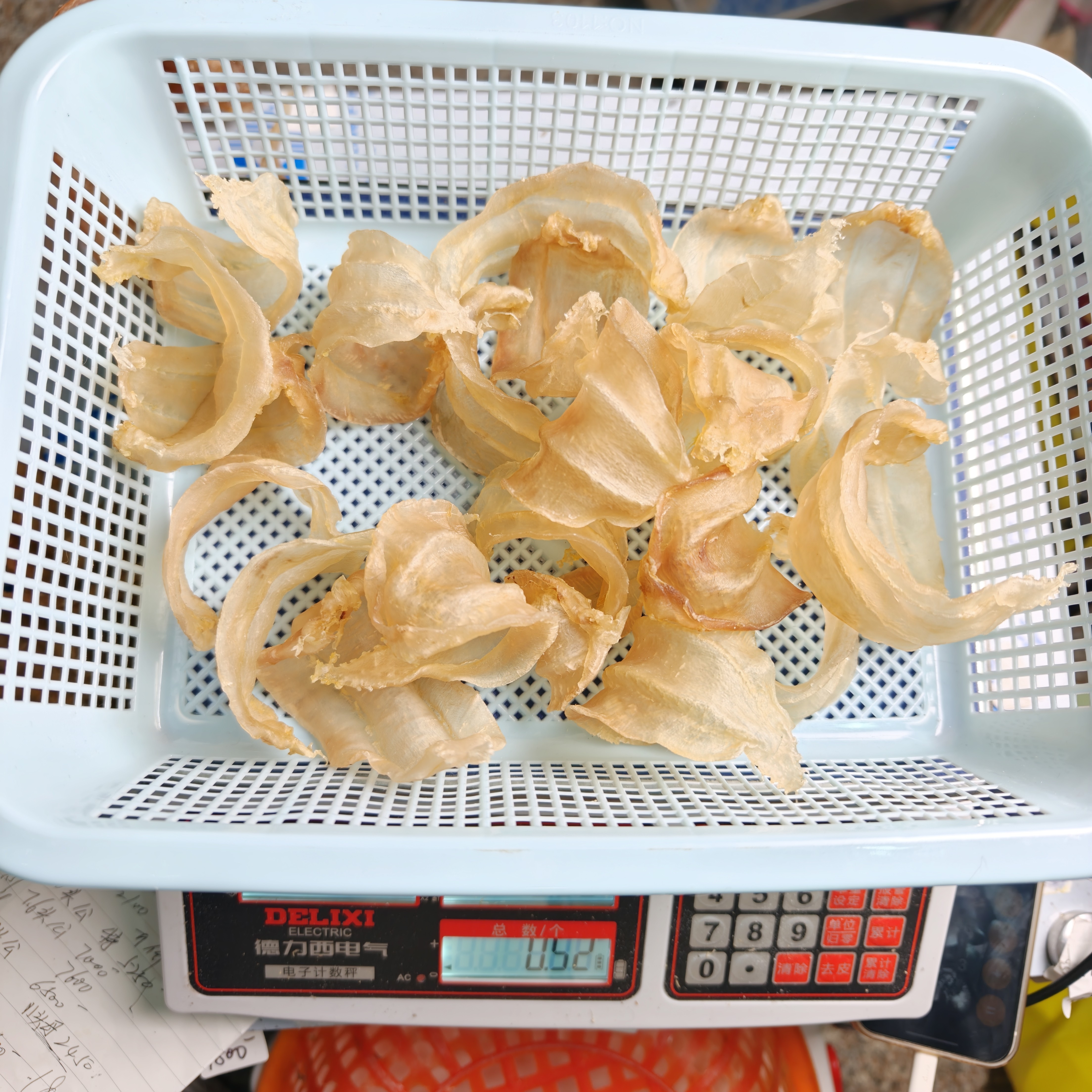 直播间福利45头浙江本港野生土鳘公胶鱼胶花胶厚肉清水干货滋补